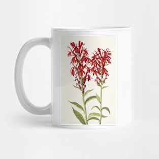 Cardinal flower - Botanical Illustration Mug